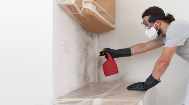 Professional Mold Removal technician working in Linden, VA